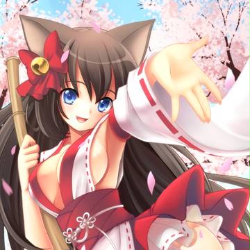 桜が満開だにゃー！