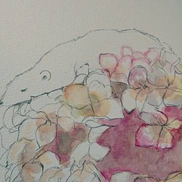 しろくまと花