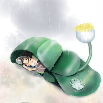 ハエマンサスで雨宿り