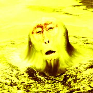 MonkeySlime