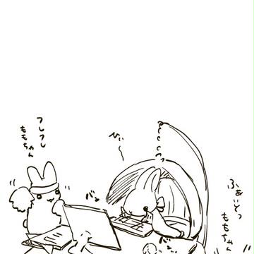 日常うさぎ③