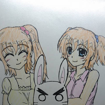 うさぎ