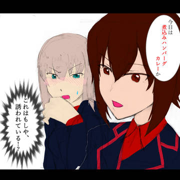 逸見「そうゆうことですか？！隊長！！」