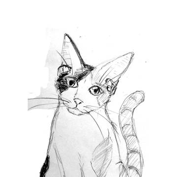 船長さん