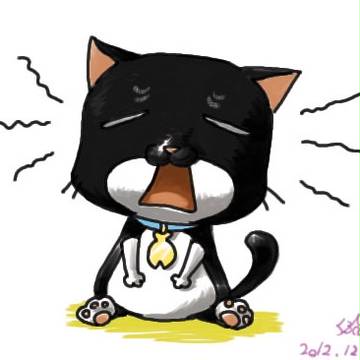 ネコのクマ