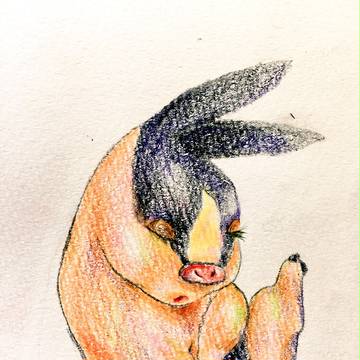 ポカブ