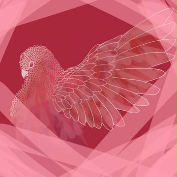 恋鳥(イメージ)