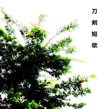 私家版刀剣短歌詰めvol.1