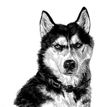 犬　ペン画風デジ絵