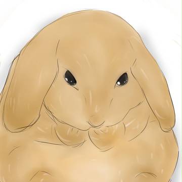 うさぎ