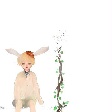 兔