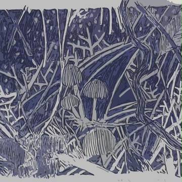 mushroom forest