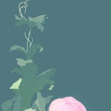 花