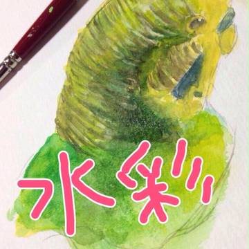 水彩塗り過程