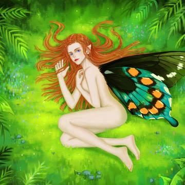 Butterfly