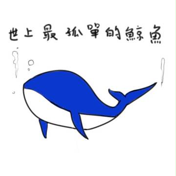 Lonely  whale