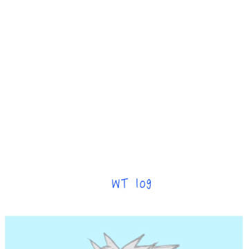 WT log