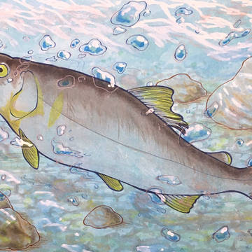 渓流のなか