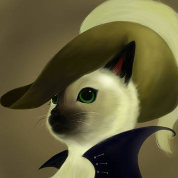 猫
