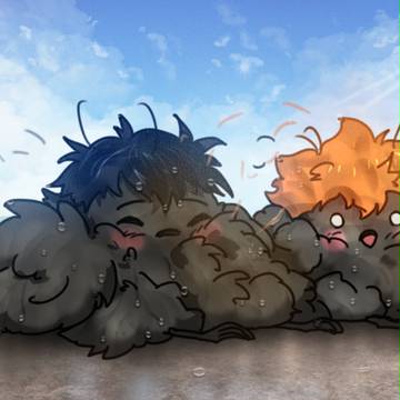 Hq! Birds