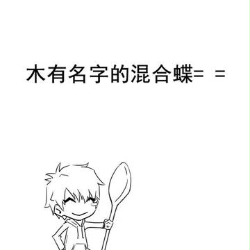 木有名字