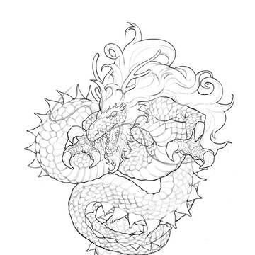 竜 線画