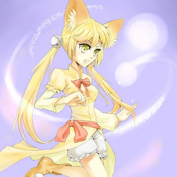 猫猫