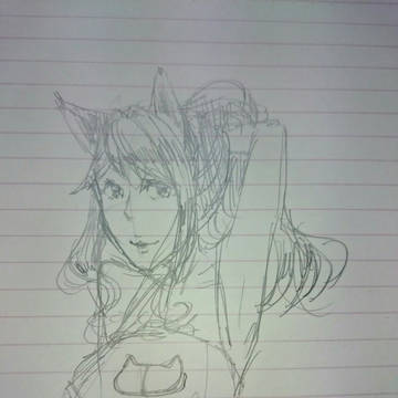 猫