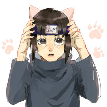猫耳鼬