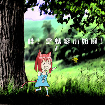 回音老爷