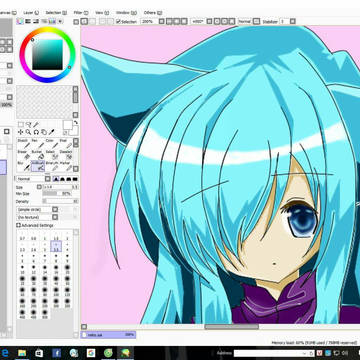 drawing with Paint tool SAI