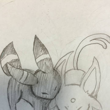 エーフィとブラッキー