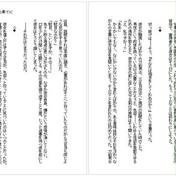 4/1新刊 思い違いの果てに