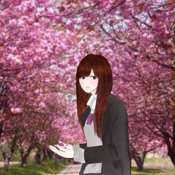 桜