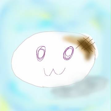 お餅ちゃん