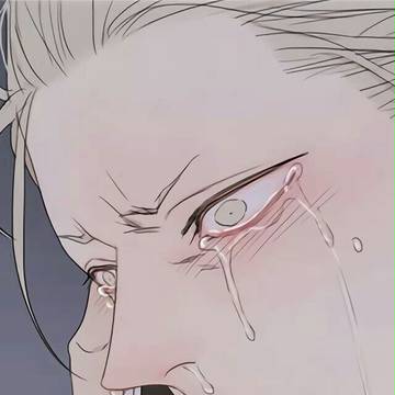 泪