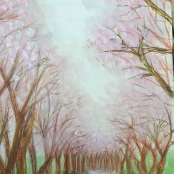 桜並木