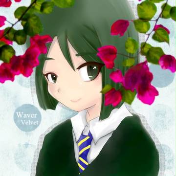 Bougainvillea