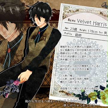 【血約】ベルベット・ハリス【人間】