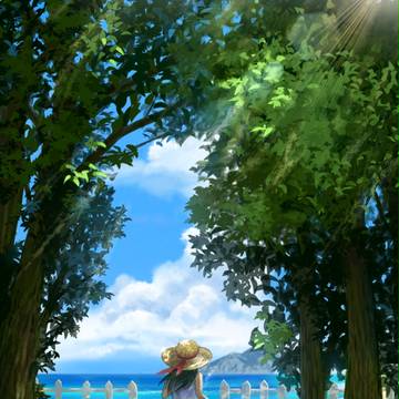 夏の日