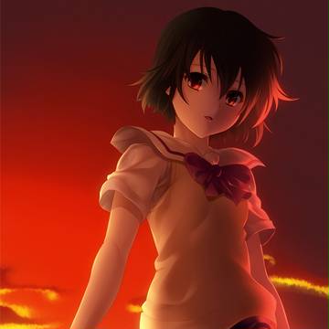 【ノワール　放送開始15周年】