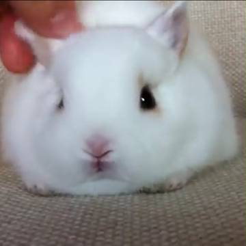 youtubeスクショまとめ