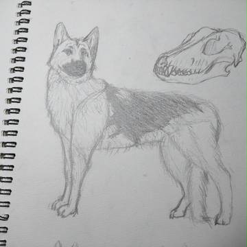 ラクガキ