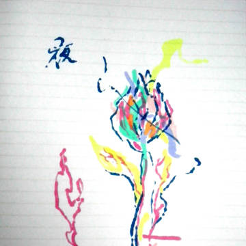 夜の花
