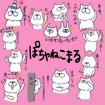 ぽちゃねこまる