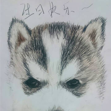 彩铅随笔——贺岁