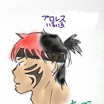 プロレスあれこれ