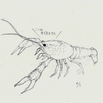 落書きザリガニ