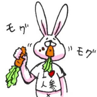 うさぎさん。①