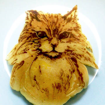 黄金猫